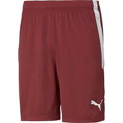 Puma Teamliga Short Hommes - Bordeaux