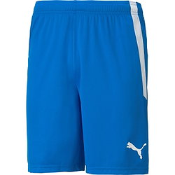 Puma Teamliga Shorts Herren - Royal