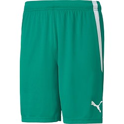 Puma Teamliga Short Enfants - Vert