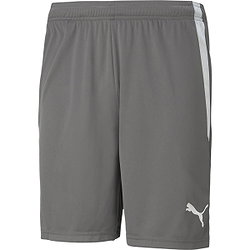 Puma Teamliga Short Kinderen - Grijs
