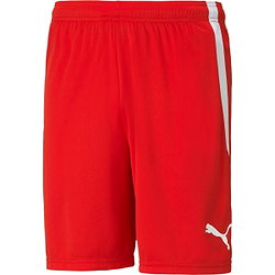 Puma Teamliga Shorts Kinder - Rot