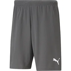 Puma Teamrise Shorts Herren - Grau