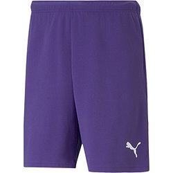 Puma Teamrise Short Kinderen - Paars