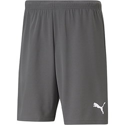 Puma Teamrise Short Kinderen - Grijs