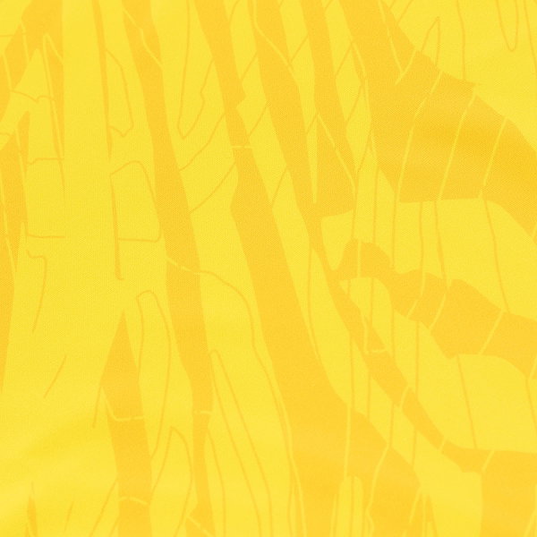 645230c3b5e1fa70788cdd04