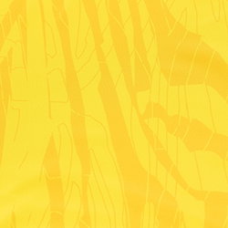 Présentation: 645230c3b5e1fa70788cdd04