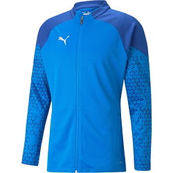 Puma Team Cup Trainingsvest Heren - Royal