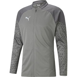 Puma Team Cup Veste D'entraînement Hommes - Gris