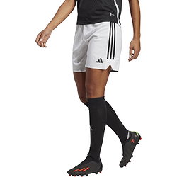 Présentation: 65670a9488c257da33d10127
