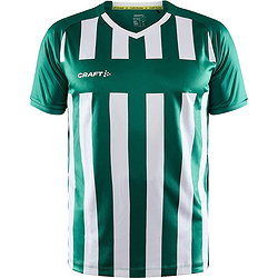 Craft Progress 2.0 Stripe Maillot Manches Courtes Hommes - Vert / Blanc