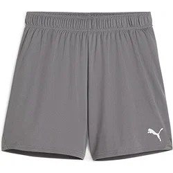 Puma Teamgoal Shorts Damen - Grau