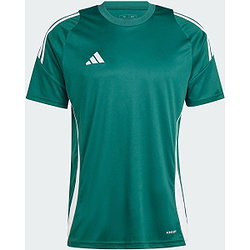 Adidas Tiro 24 T-Shirt Herren - Dunkelgrün / Weiß