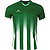 Stanno Vivid Maillot À Manches Courtes Hommes - Vert / Blanc