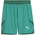 Puma Teamfinal Shorts Herren - Grün