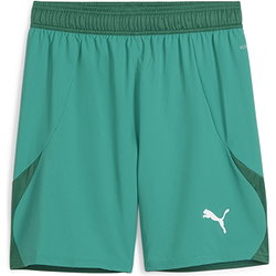 Puma Teamfinal Short Hommes - Vert