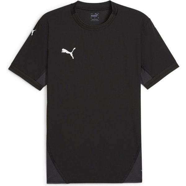 Puma Teamfinal Shirt Korte Mouw Heren - Zwart