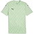 Puma Teamglory Shirt Korte Mouw Kinderen - Munt