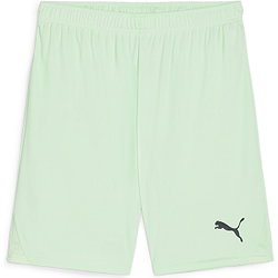 Puma Teamgoal Shorts Herren - Mint