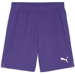 Puma Teamgoal Short Hommes - Mauve