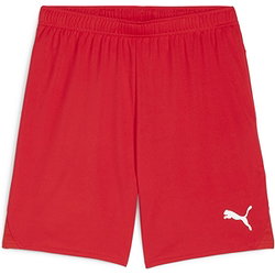 Puma Teamgoal Shorts Kinder - Rot