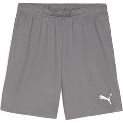 Puma Teamgoal Short Kinderen - Grijs