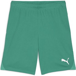 Puma Teamgoal Shorts Kinder - Grün
