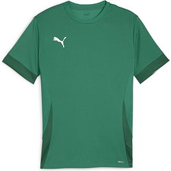 Puma Teamgoal Matchday Trikot Kurzarm Herren - Grün