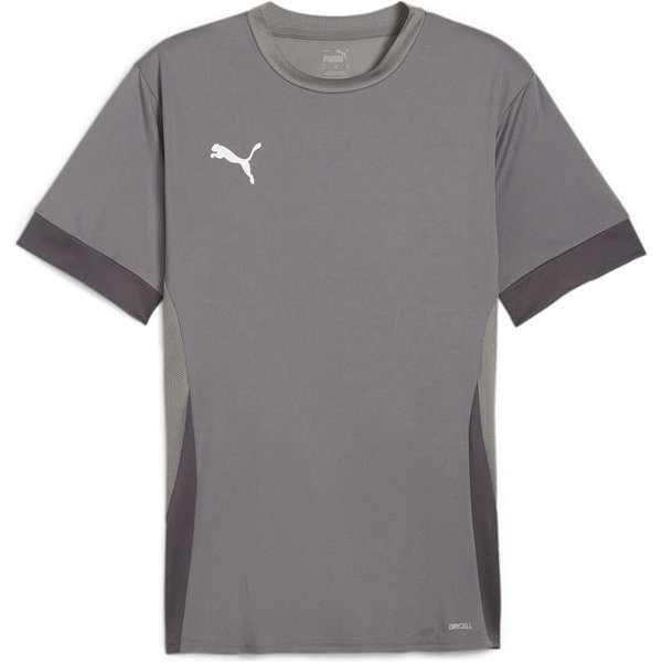 Puma Teamgoal Matchday Maillot Manches Courtes Hommes - Gris