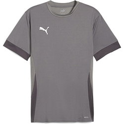 Présentation: Puma Teamgoal Matchday Maillot Manches Courtes Hommes - Gris