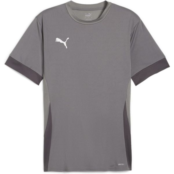 Puma Teamgoal Matchday Maillot Manches Courtes Hommes - Gris