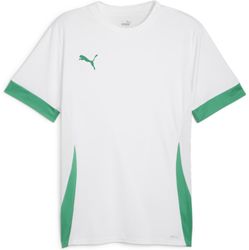 Voorvertoning: Puma Teamgoal Matchday Shirt Korte Mouw Heren - Wit / Groen