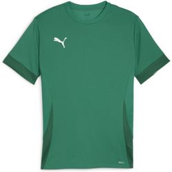 Voorvertoning: Puma Teamgoal Matchday Shirt Korte Mouw Kinderen - Groen