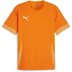 Voorvertoning: Puma Teamgoal Matchday Shirt Korte Mouw Kinderen - Oranje