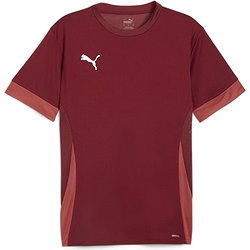 Puma Teamgoal Matchday Maillot Manches Courtes Enfants - Bordeaux