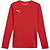 Puma Teamgoal Trikot Langarm Kinder - Rot