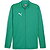 Puma Teamfinal Trainingsvest Heren - Groen
