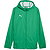 Puma Teamfinal Regenjas Heren - Groen