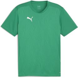 Présentation: Puma Teamfinal T-Shirt Hommes - Vert