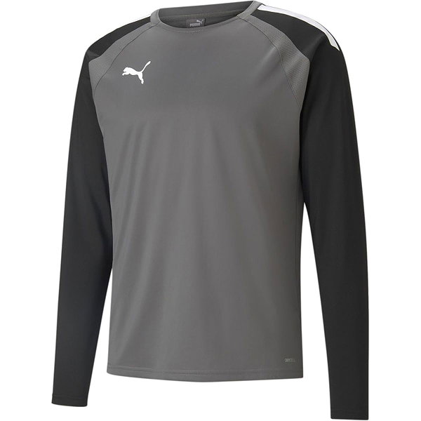 Puma Teamliga Sweat Hommes - Gris
