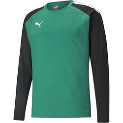 Puma Teamliga Sweat Hommes - Vert