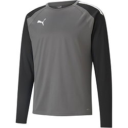 Puma Teamliga Sweater Kinderen - Grijs