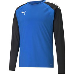 Puma Teamliga Sweater Kinderen - Royal