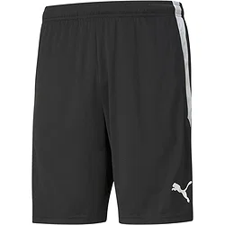 Puma Teamliga Short D'entraînement Hommes - Noir