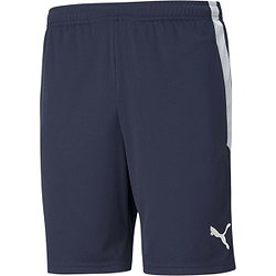 Puma Teamliga Short D'entraînement Hommes - Marine