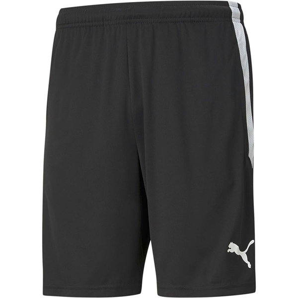 Puma Teamliga Short D'entraînement Enfants - Noir