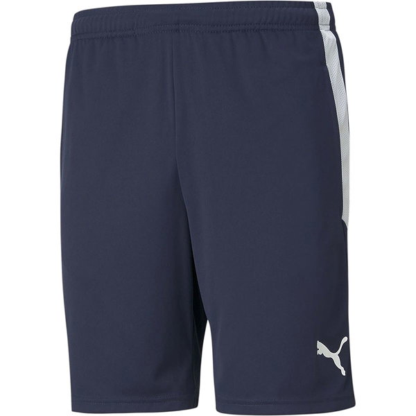 Puma Teamliga Short D'entraînement Enfants - Marine