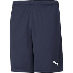 Puma Teamrise Trainingsshorts Herren - Marine