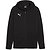 Puma Team Final Sweat-Shirt Zippé Enfants - Noir