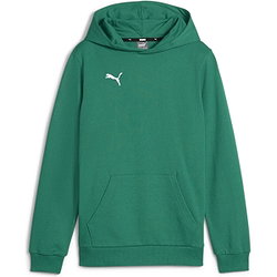 Vorschau: Puma Teamgoal Kapuzenpullover Herren - Grün