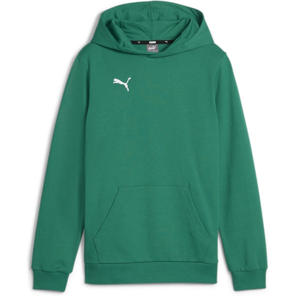 Puma Teamgoal Sweat-Shirt Capuche Hommes - Vert